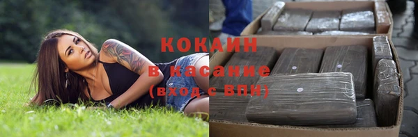 ГАЛЛЮЦИНОГЕННЫЕ ГРИБЫ Покровск