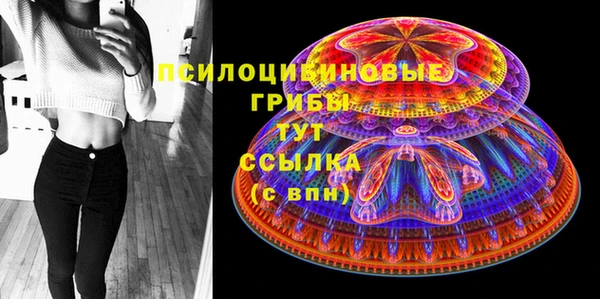 хмурый Лысково