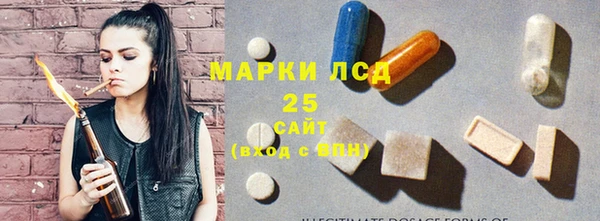 ГАЛЛЮЦИНОГЕННЫЕ ГРИБЫ Покровск