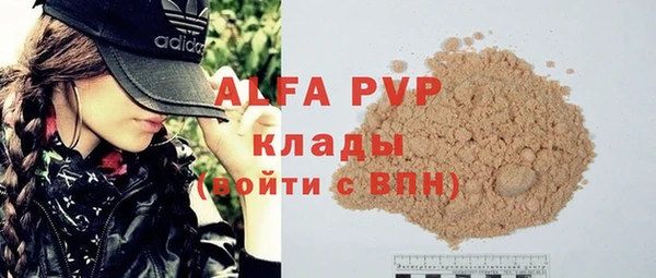прущие грибы Луховицы