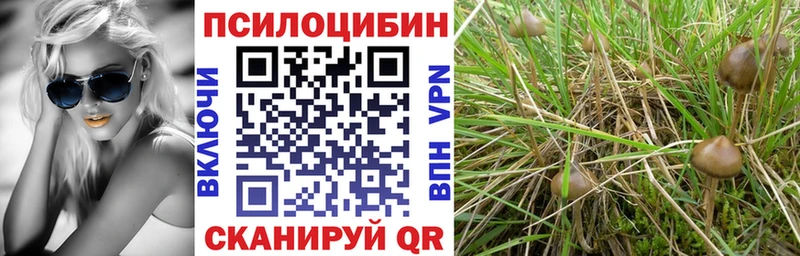 Псилоцибиновые грибы Psilocybine cubensis  купить наркотики цена  маркетплейс телеграм  Светогорск 